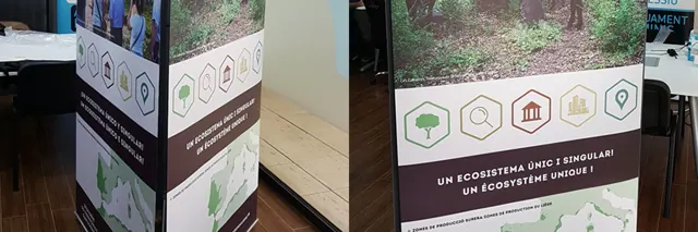 Disseny gràfic i impresió roll-up triple per a RETECORK