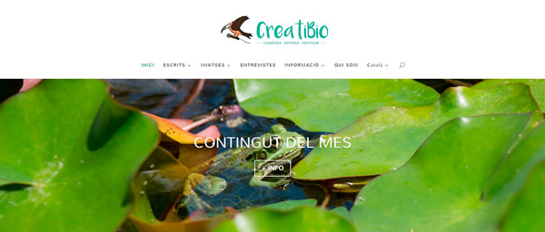 gm-cloud-design-projectes-creati-bio-lloc-web-corporatiu-1