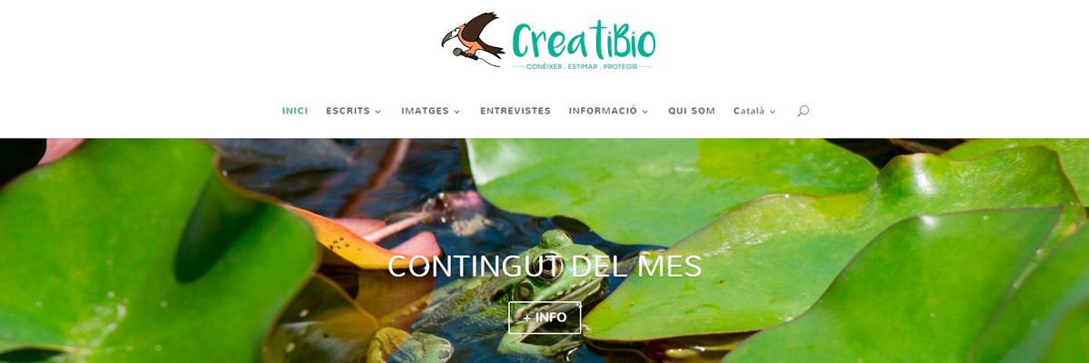 gm-cloud-design-projectes-creati-bio-lloc-web-corporatiu